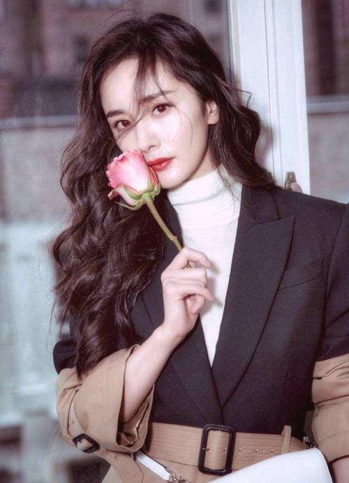 娱乐圈杨幂八卦最新爆料